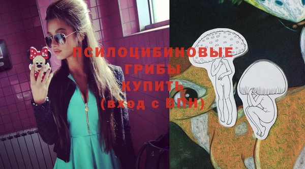mdpv Алзамай