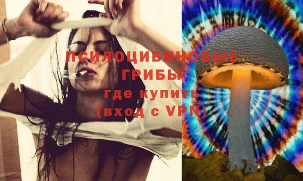 mdpv Алзамай