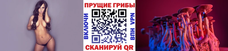 продажа наркотиков  Новая Ладога  Галлюциногенные грибы мухоморы 