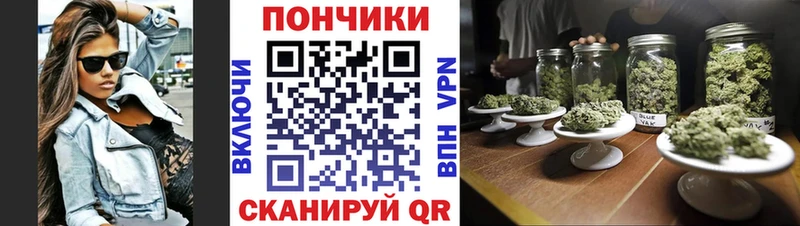Марихуана марихуана Новая Ладога